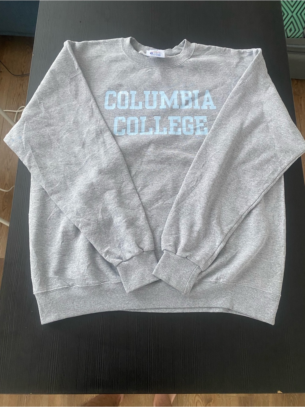 Champion Gray Crewneck Sweatshirt with Light Blue Print